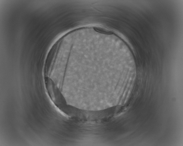 X0000080660959200701121603