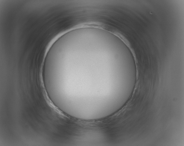 X0000080660960200701121603