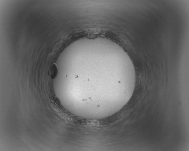 X0000080660961200701121602