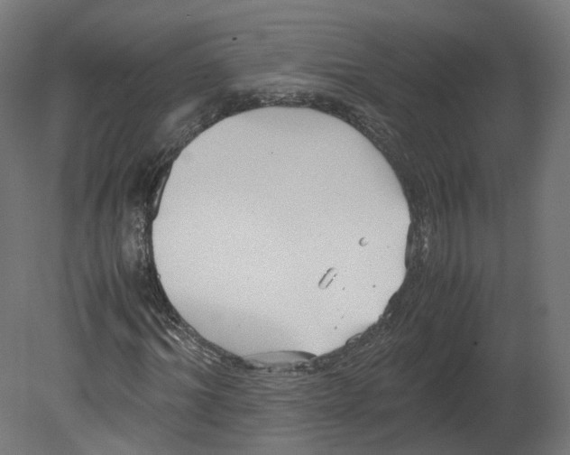 X0000080660964200701121602