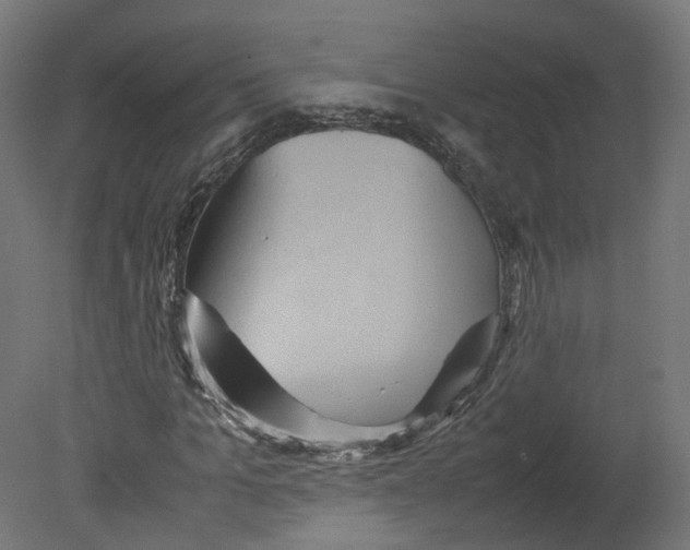 X0000080660965200701121602