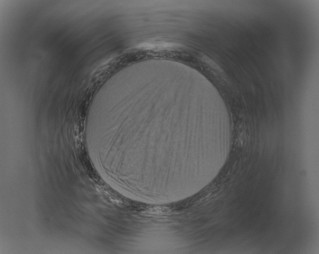 X0000080660966200701121602