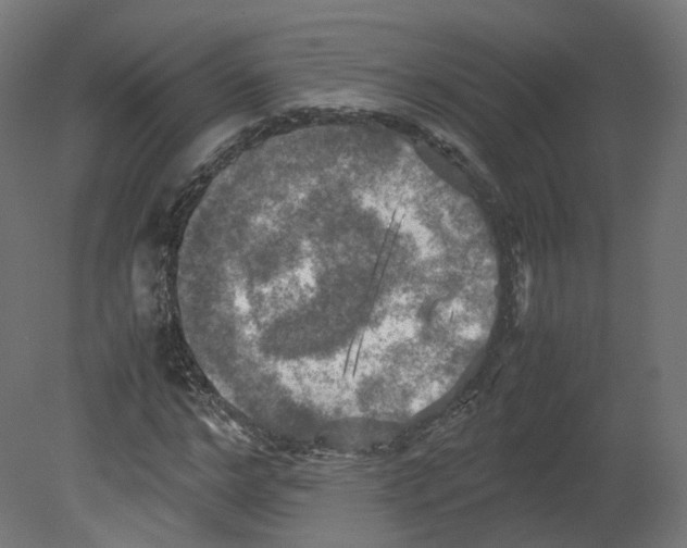 X0000080660968200701121602