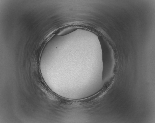 X0000080660969200701121602