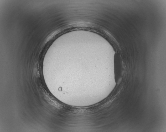 X0000080660970200701121602