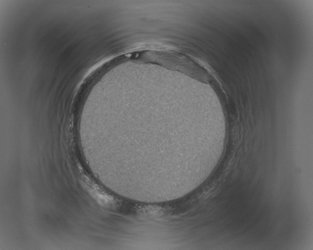 X0000080660971200701121602