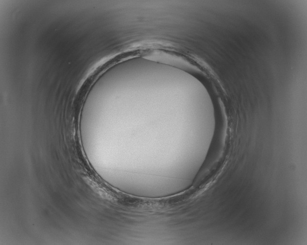 X0000080660973200701121602