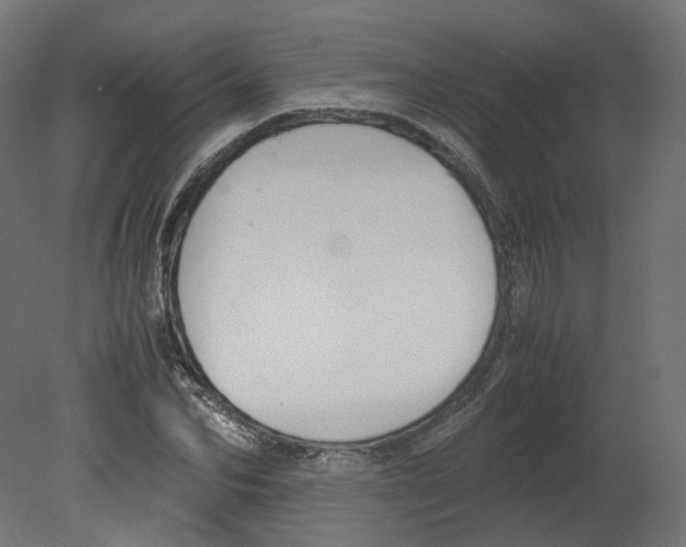 X0000080660974200701121602