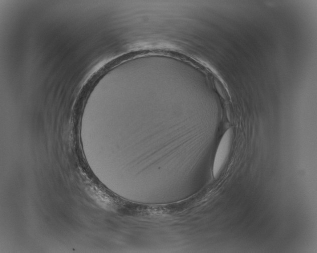 X0000080660975200701121602