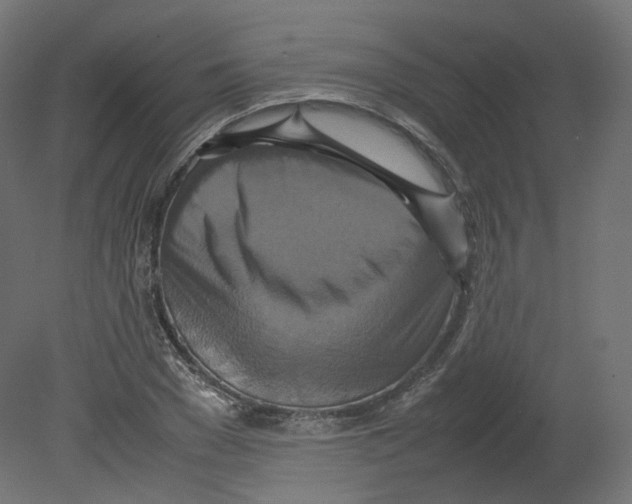 X0000080660977200701121602