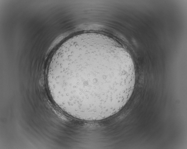 X0000080660978200701121602