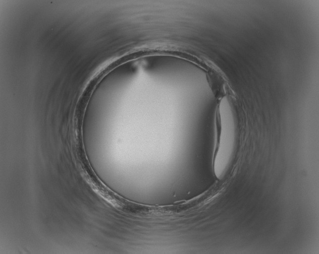 X0000080660981200701121602