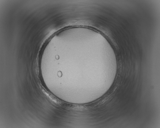 X0000080660982200701121602