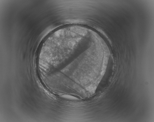 X0000080660983200701121602