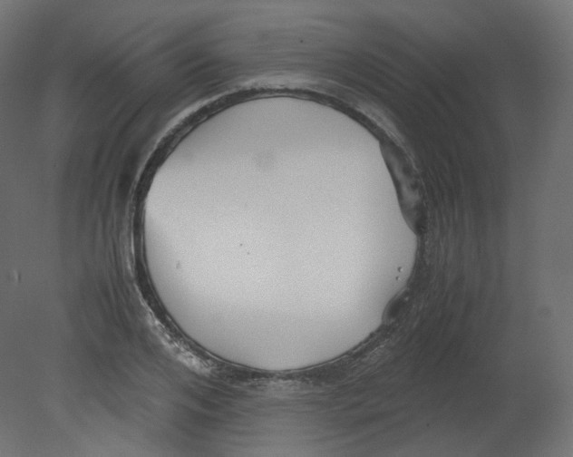 X0000080660984200701121602