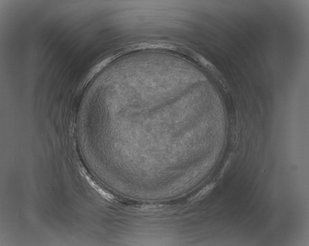 X0000080660985200701121602