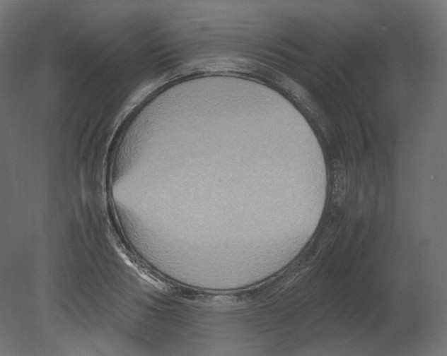 X0000080660986200701121602