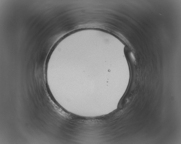 X0000080660988200701121602