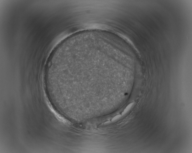 X0000080660991200701121602