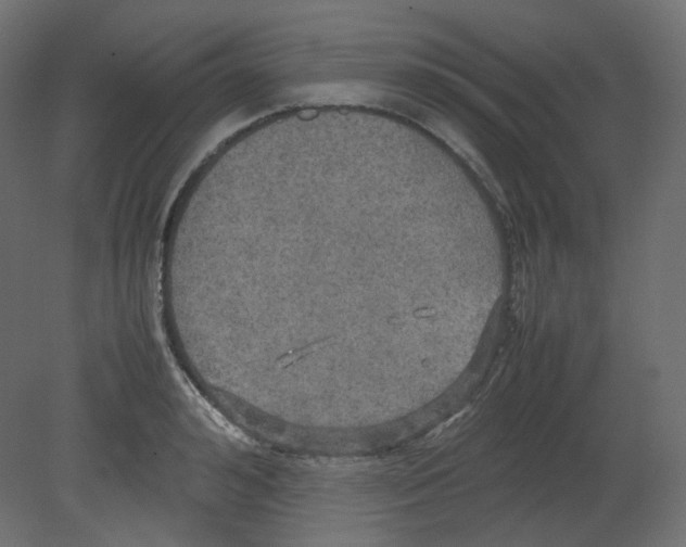 X0000080660992200701121602