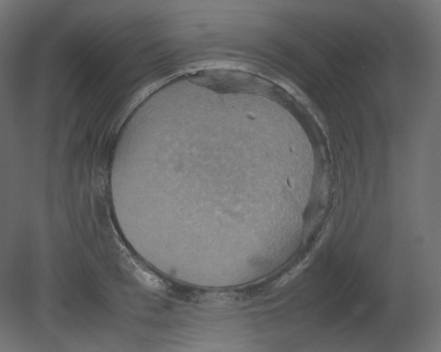 X0000080660993200701121602