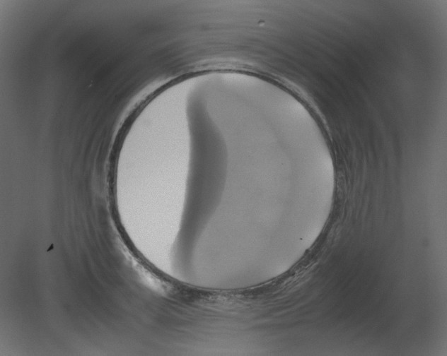 X0000080660995200701121602