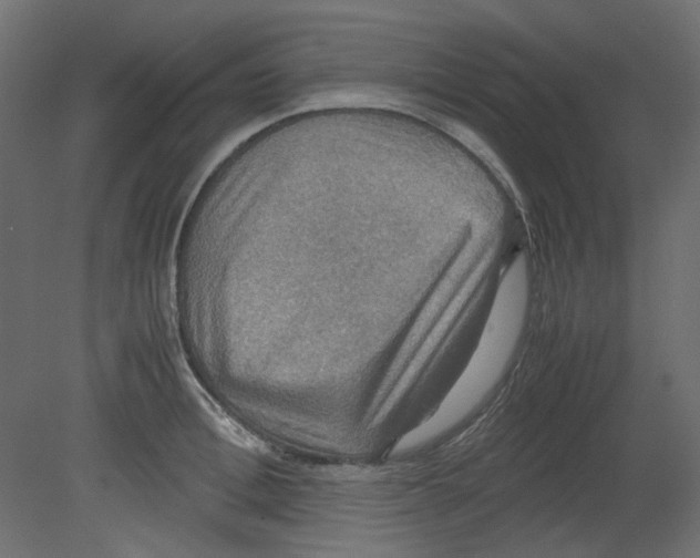 X0000080660996200701121601