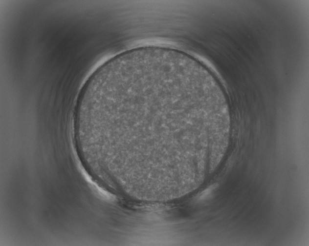 X0000080660999200701121601