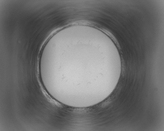 X0000080661000200701121601