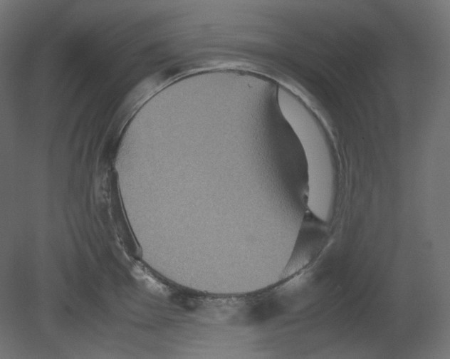 X0000080661001200701121601