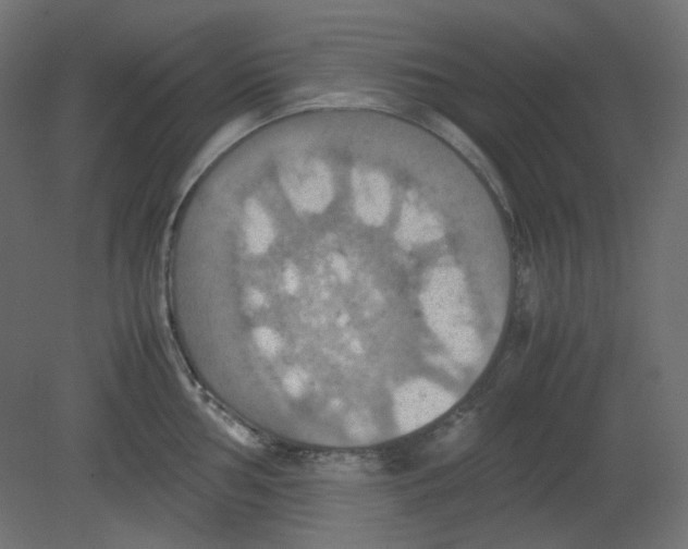 X0000080661002200701121601