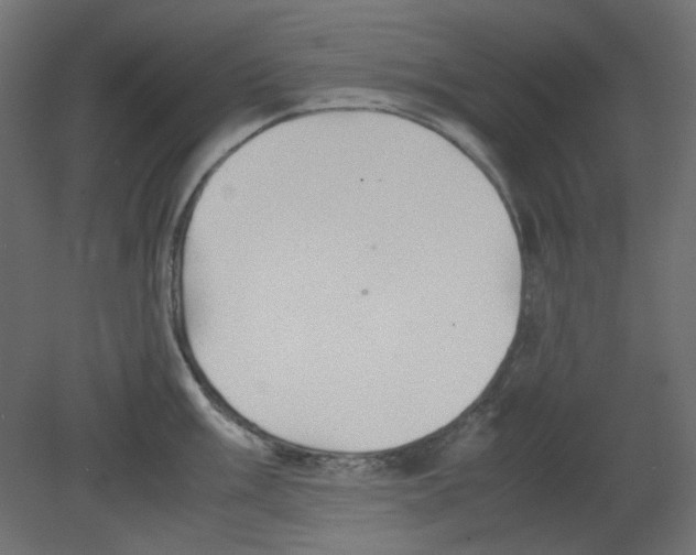 X0000080661003200701121601