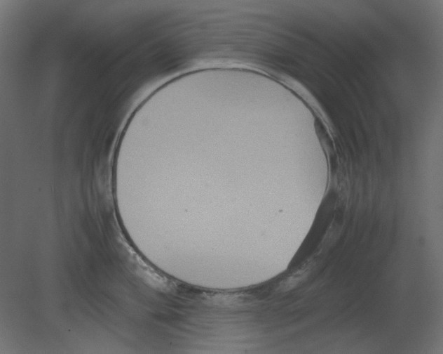 X0000080661004200701121601