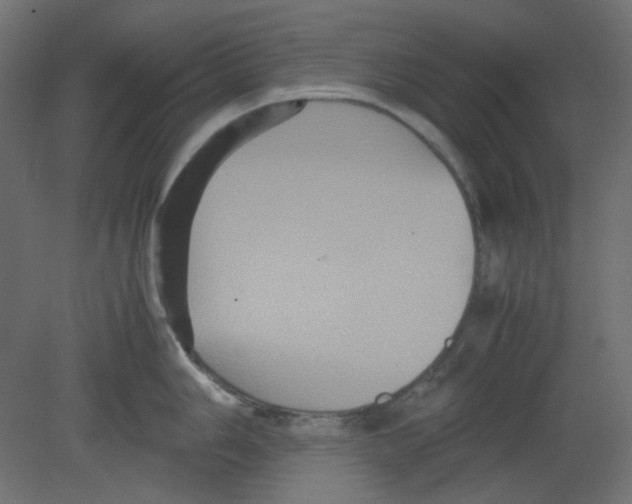 X0000080661006200701121601