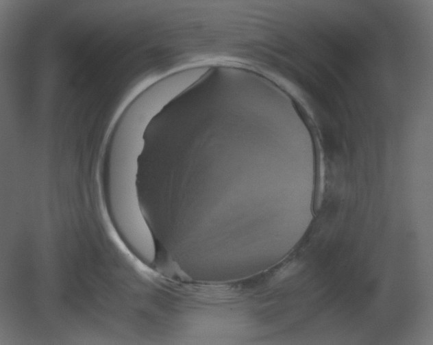 X0000080661007200701121601