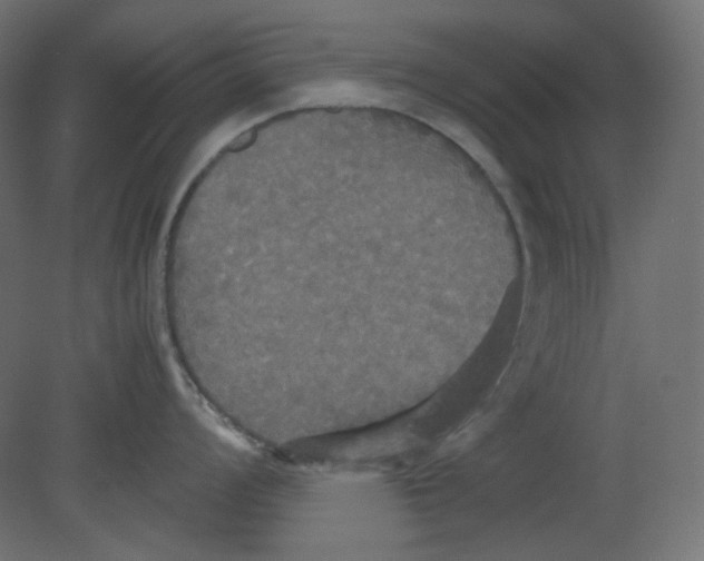 X0000080661008200701121601