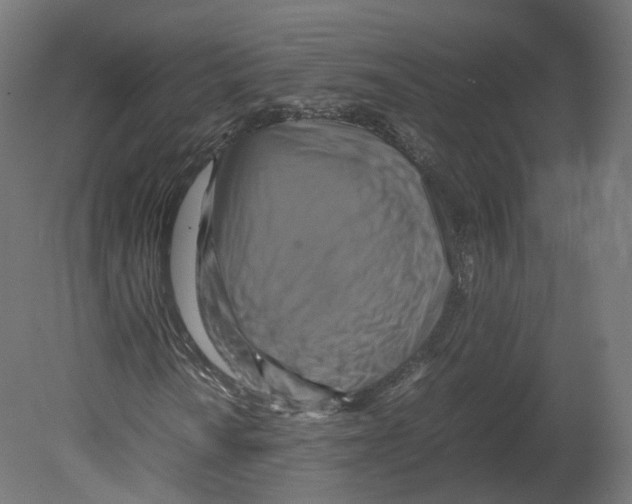 X0000080661010200701121600