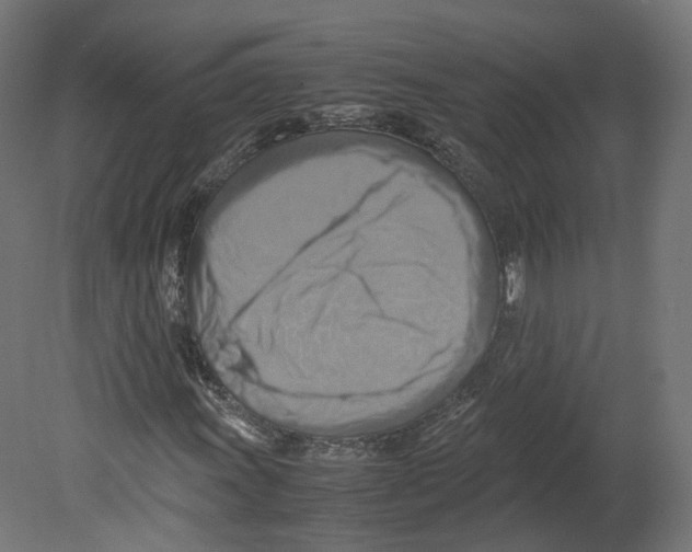 X0000080661011200701121601