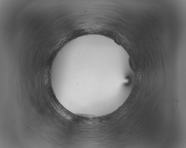 X0000080661012200701121601