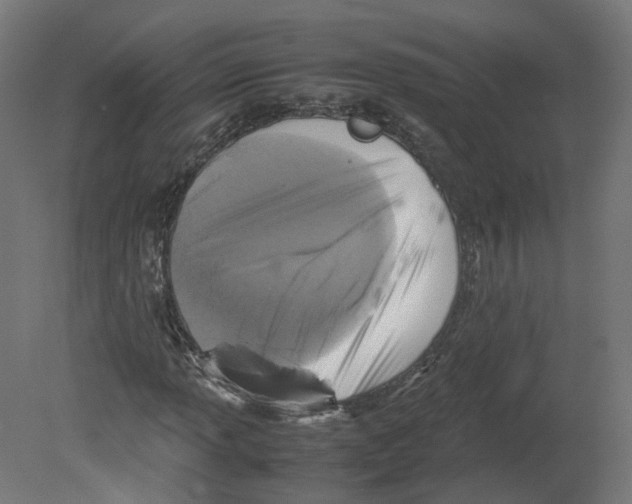 X0000080661013200701121601