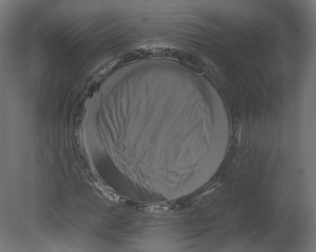 X0000080661014200701121601