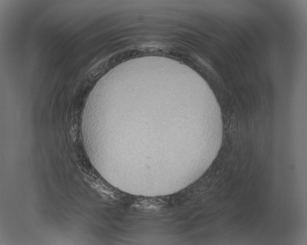 X0000080661015200701121601