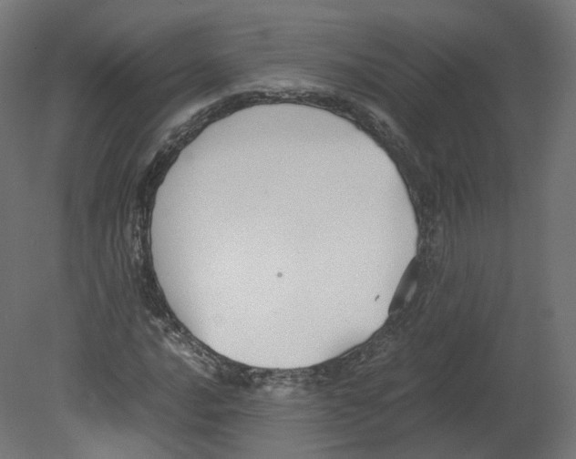 X0000080661016200701121601