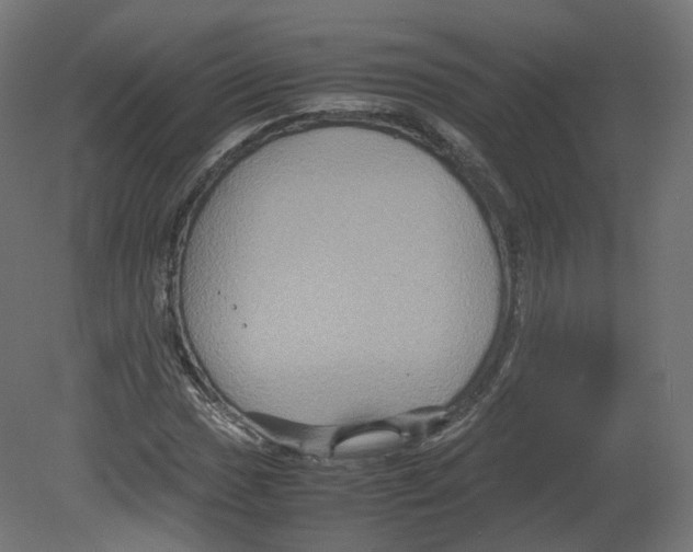 X0000080661017200701121601