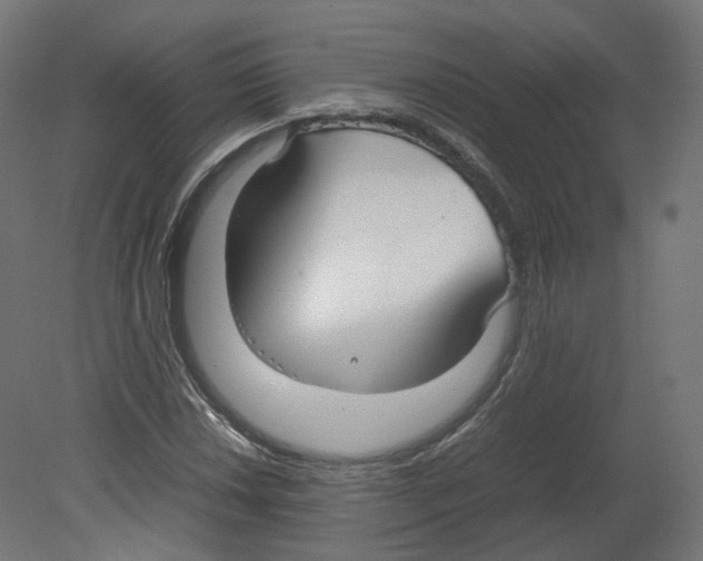 X0000080661018200701121601