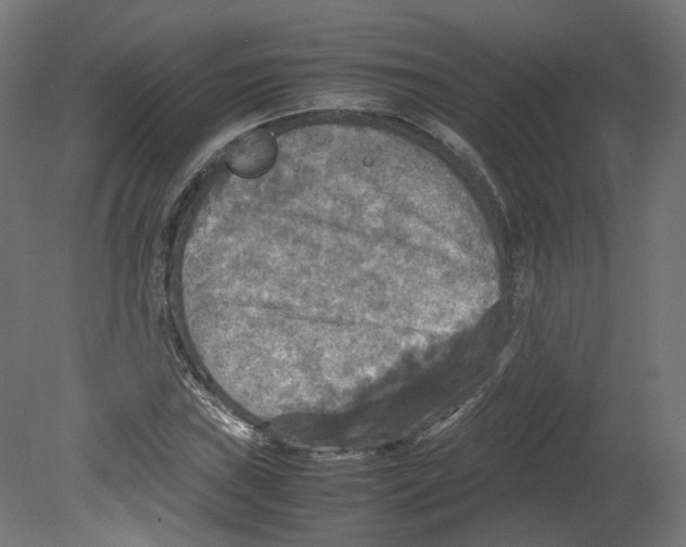 X0000080661019200701121601