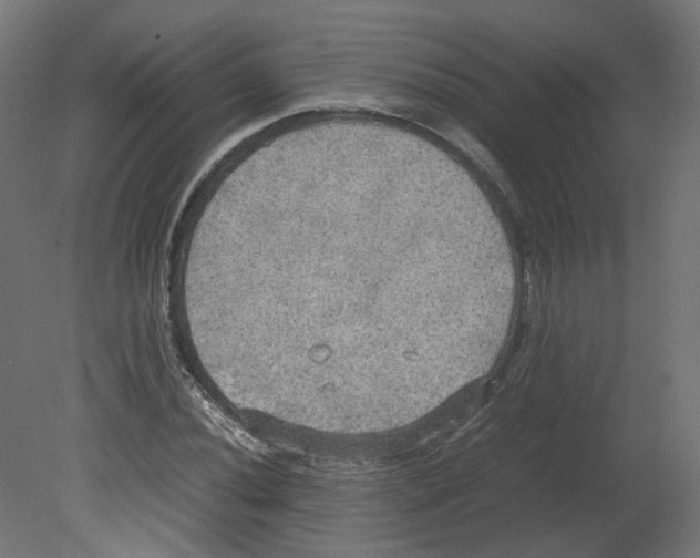 X0000080661020200701121601