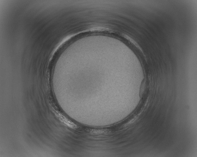 X0000080661021200701121601