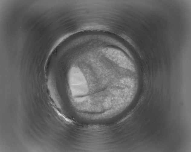 X0000080661022200701121601