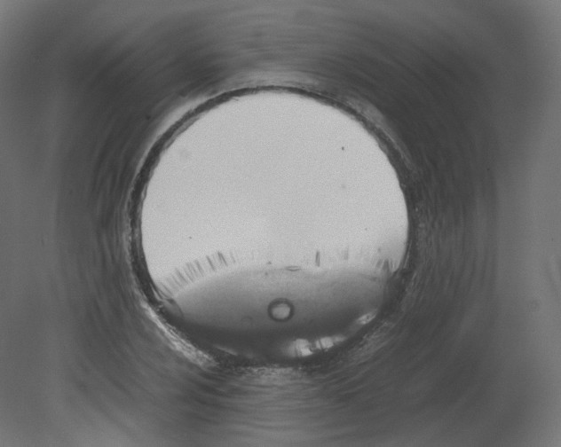 X0000080661024200701121601